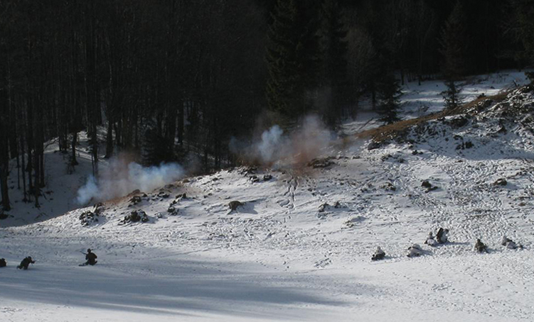Partisans position under ''mortars fire''