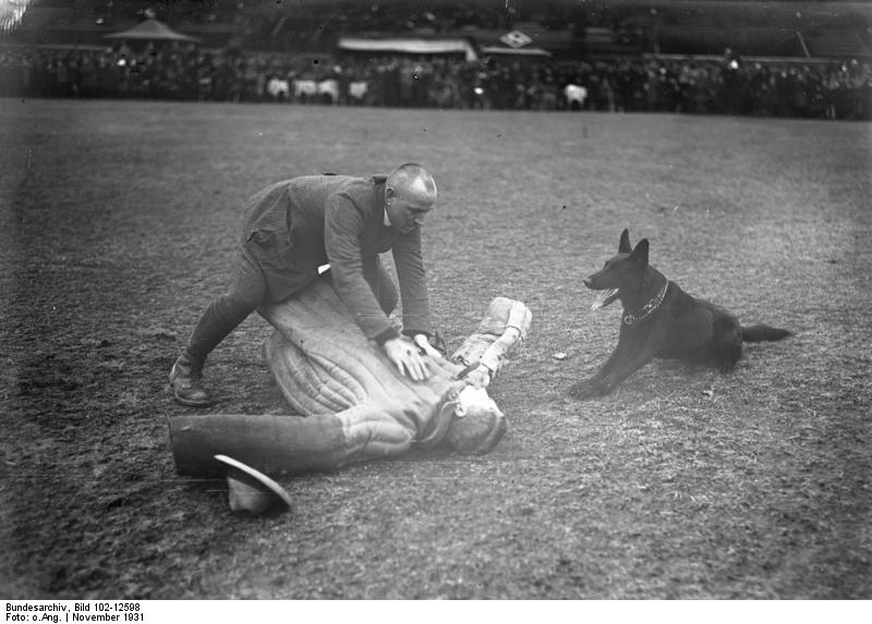 Bundesarchiv_Bild_102-12598,_Berlin,_Ausbildung_von_Polizeihunden.jpg