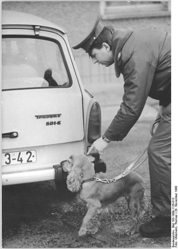 Bundesarchiv_Bild_102-12597,_Berlin,_Ausbildung_von_Polizeihunden.jpg