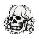 ss skull symbol