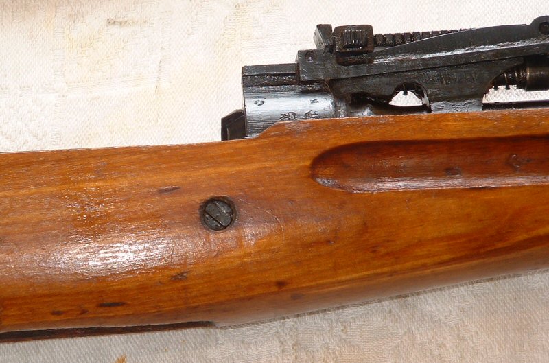 svt4029.jpg