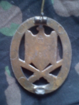 Gen assault badge in bronze reverse.jpg